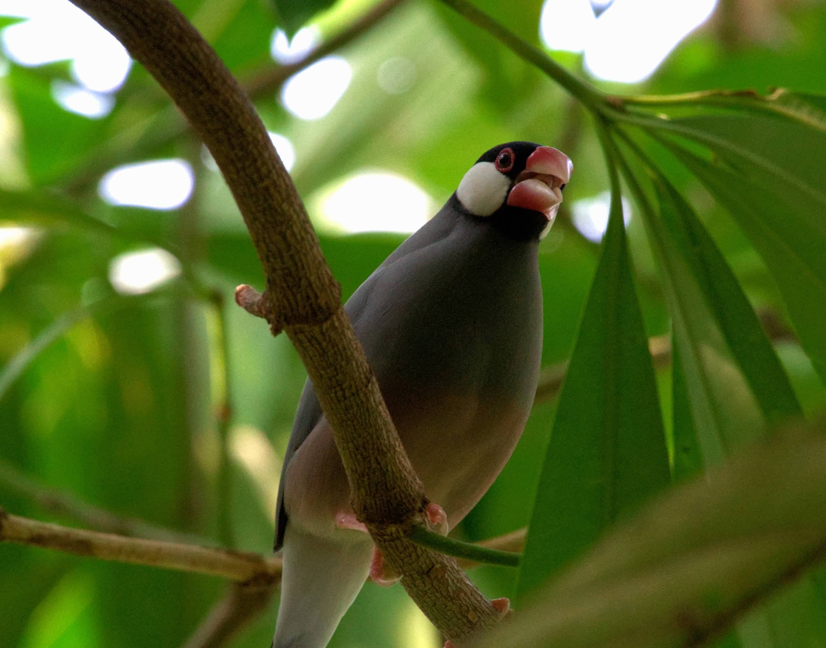 Ubuntu 24.04.2 LTS Server Setup